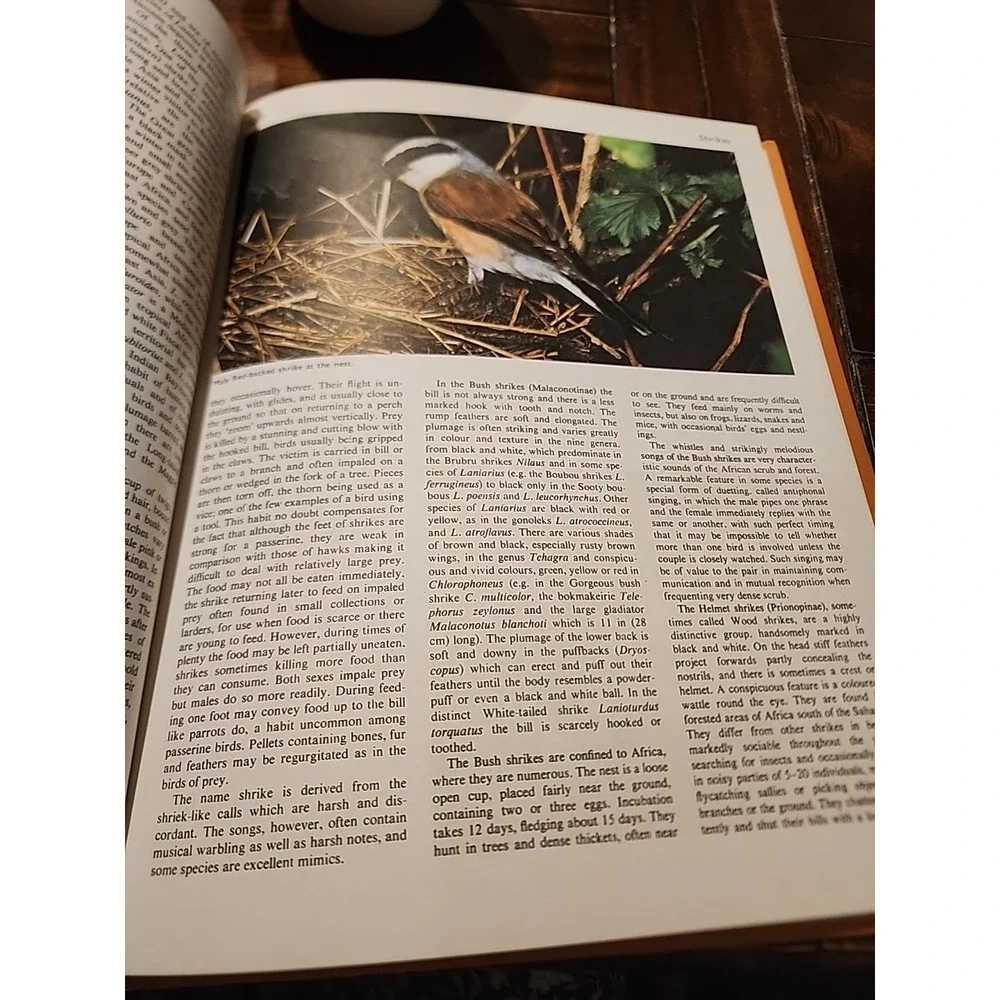 Encyclopedia of the Animal World Vol 18 Vtg 1972 Shape - Starfishes
